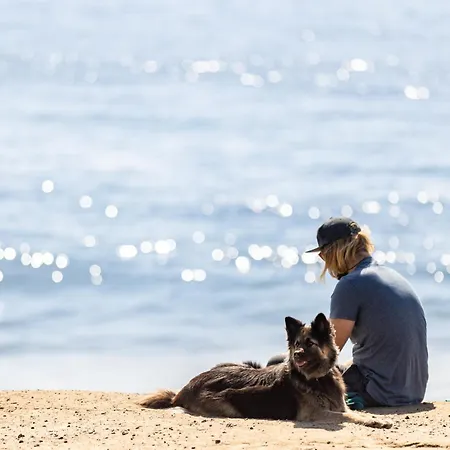 Live Medano Mirazul דירה